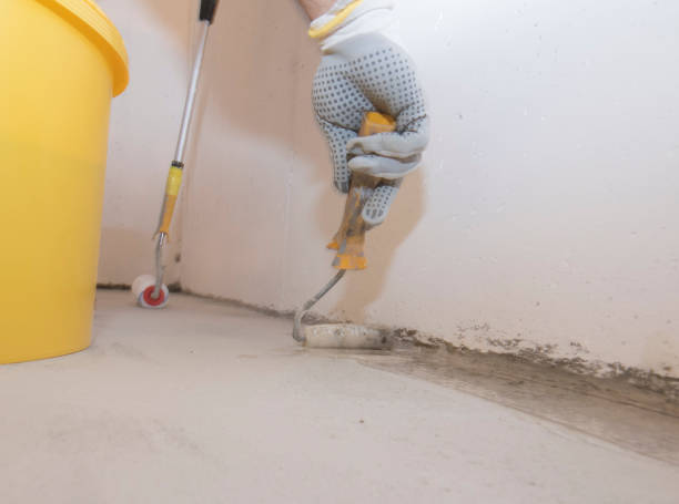 Best Bed Bug Extermination  in Lemont, IL